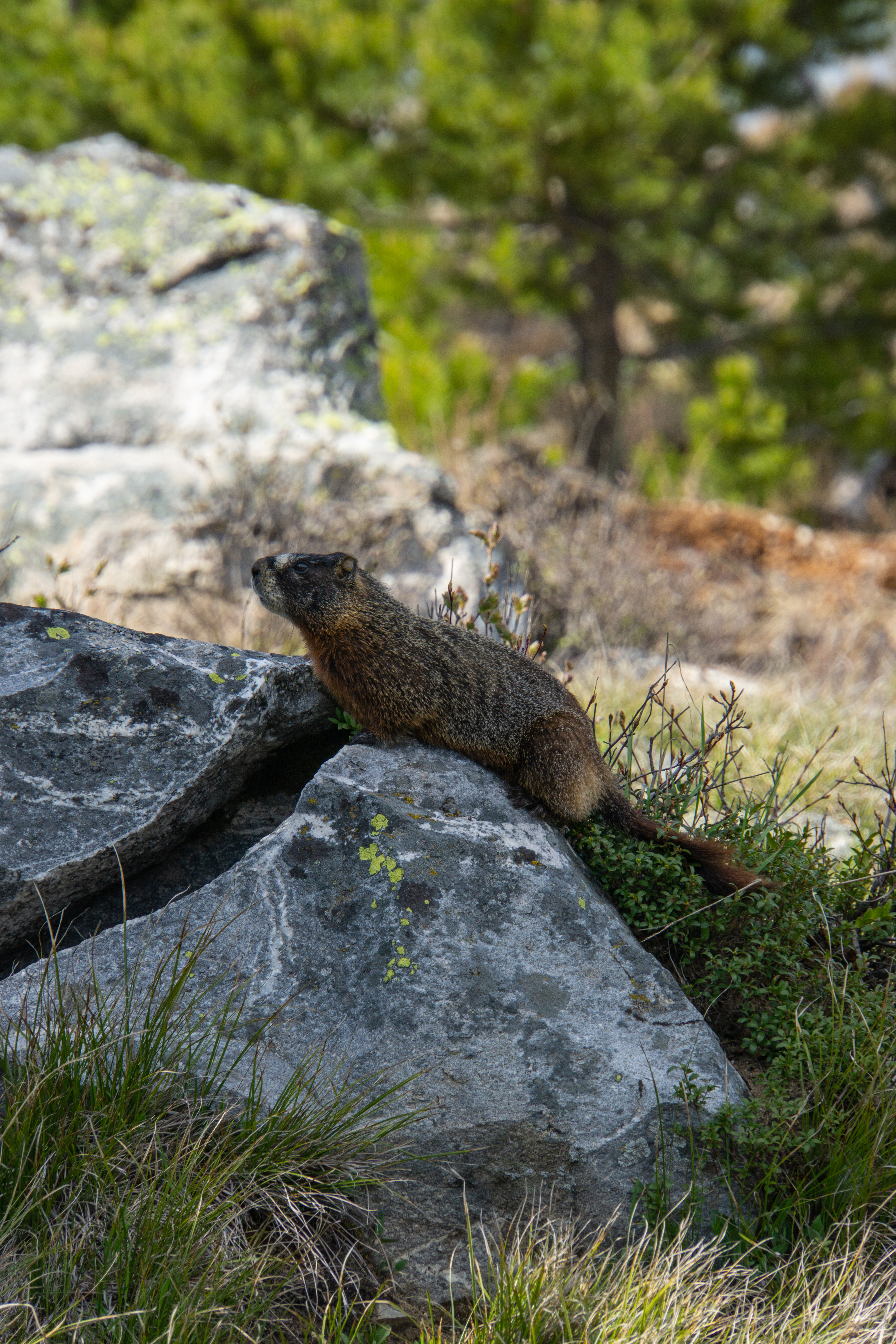 US National Parks 2022 39